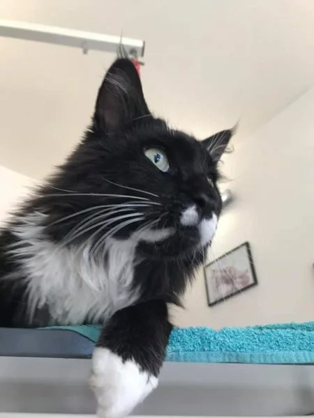 photo des anciens clients d'olivia